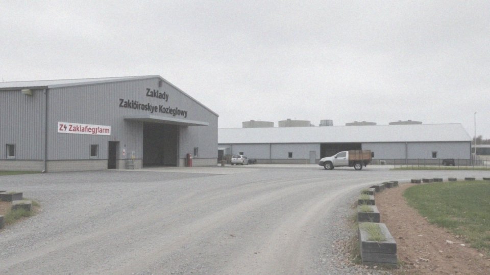 Jakie zmiany właścicielskie zaszły w spółkach związanych z rodziną Stokłosów?
