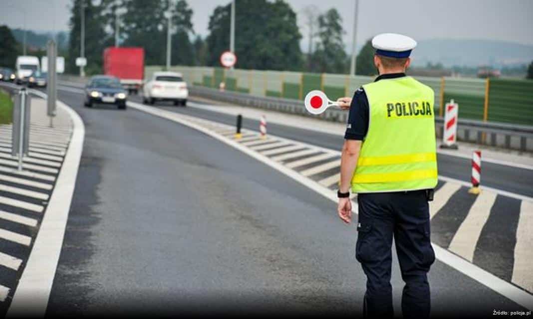 52-latka oskarżona o znęcanie się nad psem poprzez porzucenie go na przystanku