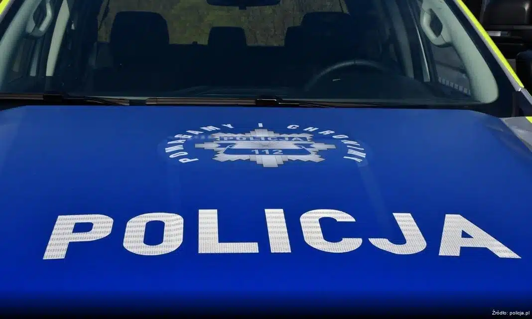 Młodzi włamywacze zatrzymani przez policję w Rykach