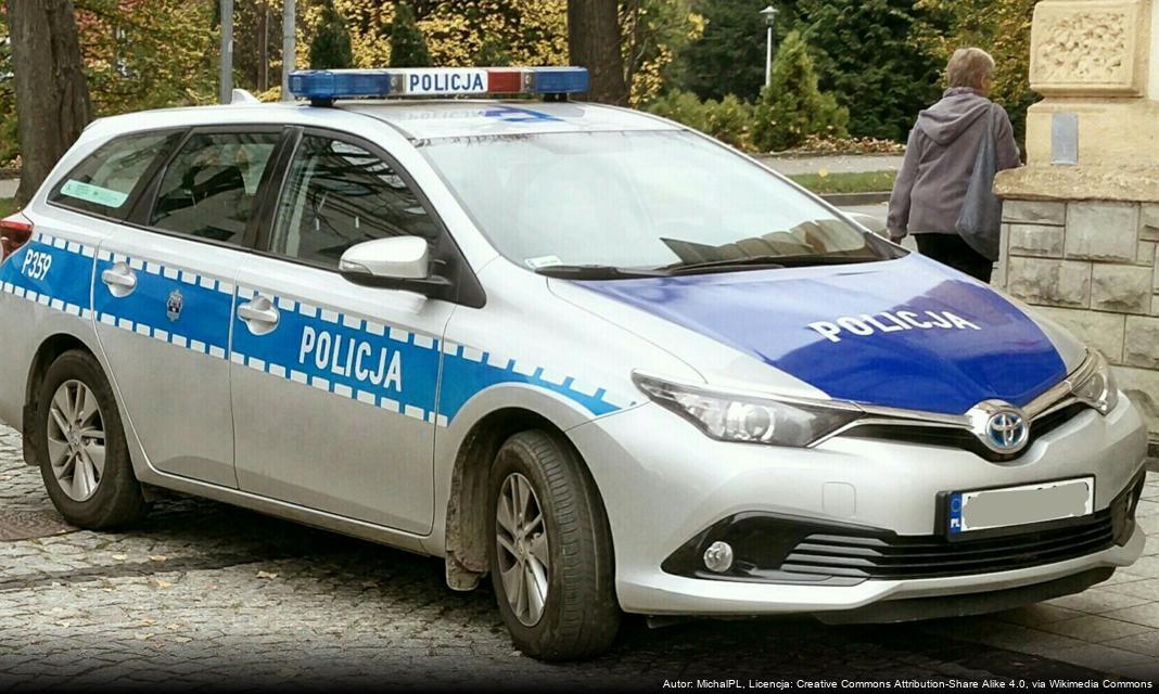 Wypadek drogowy w Terebiniu – policja wyjaśnia okoliczności zdarzenia